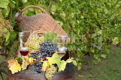 vineyard with wine and grape