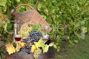 vineyard with wine and grape