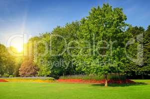 summer park with beautiful flowerbeds