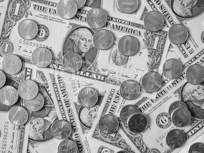 Black and white Dollar coins and notes