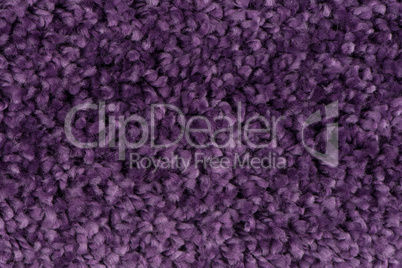 Purple carpet