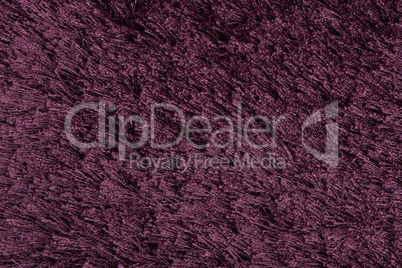 Purple carpet