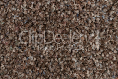 Brown carpet