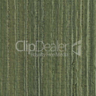 Green vinyl texture