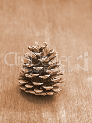 Pine cone on a wooden table