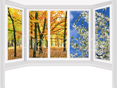 window overlooking the autumn park and spring trees