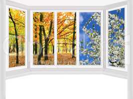 window overlooking the autumn park and spring trees