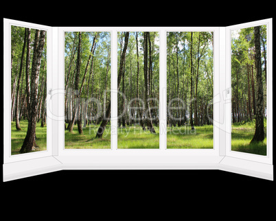 windows overlooking the grove in the spring isolated