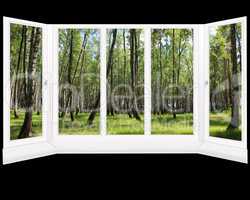 windows overlooking the grove in the spring isolated
