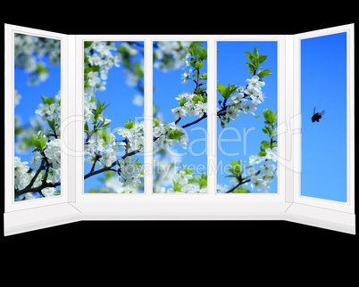 window overlooking the garden with blossoming tree