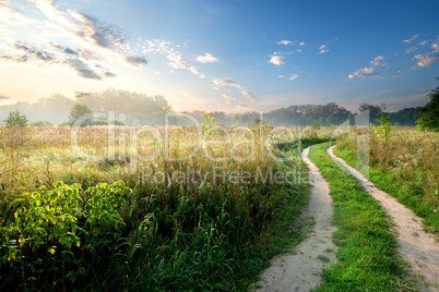 Fog over country road