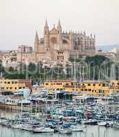 Cathedral Seu Seo of Palma de Mallorca