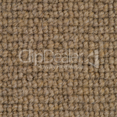 Brown carpet