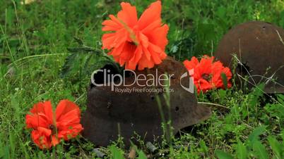 red poppy on the helmet of a dead soldier