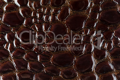 Brown snake skin background