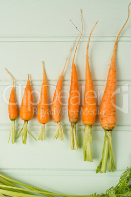 Carrots on wooden table