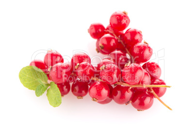 Red Currants