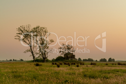 Rural landscape