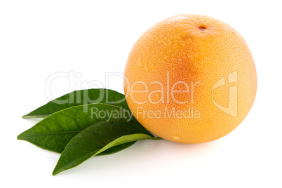 Ripe red grapefruit