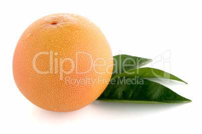 Ripe red grapefruit