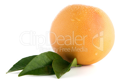 Ripe red grapefruit