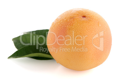 Ripe red grapefruit