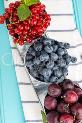 Plums, red currants and blueberries in small metal bucket