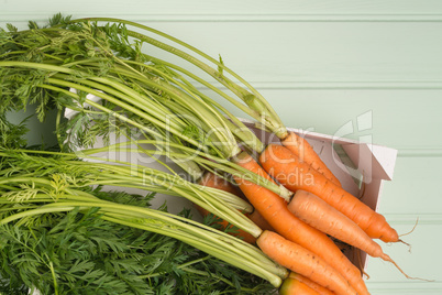 Carrots on wooden table