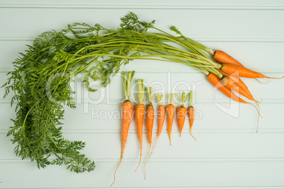 Carrots on wooden table