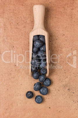 Blueberries on a wooden spoon