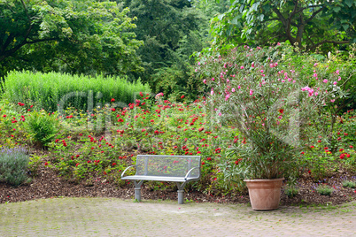 bench in a beautiful park