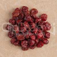 Circle of dried cranberries