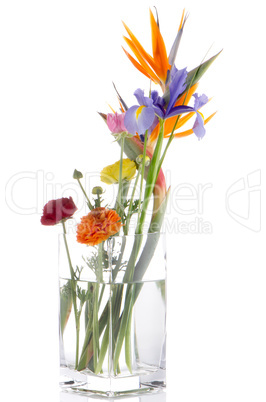 Bouquet of various flowers