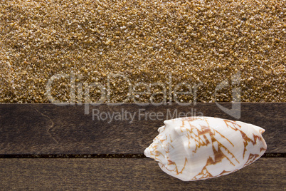 Background with beach sand