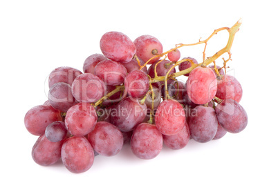 Bunch of red grapes