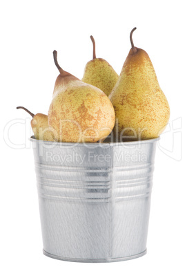 Ripe pears on metal buket