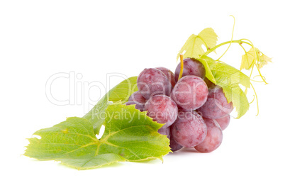 Bunch of red grapes