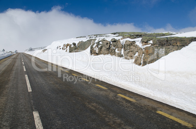 Snowy Road