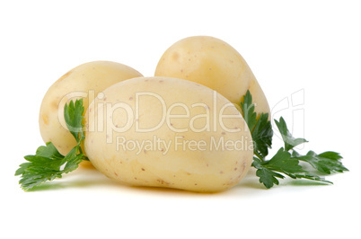 New potatoes and green parsley