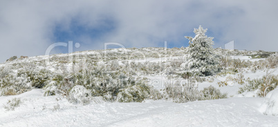 Landscape of Serra da Estrela