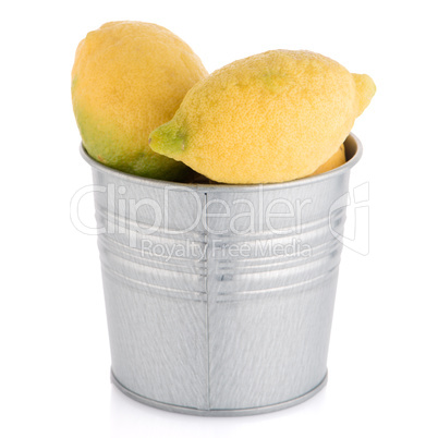 Bucket with lemons