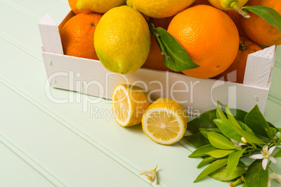 Citrus fresh fruits