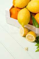 Citrus fresh fruits