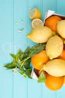 Citrus fresh fruits