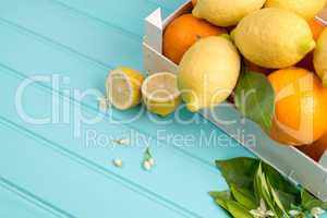 Citrus fresh fruits