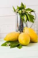 Limes and vintage metal retro watering cans