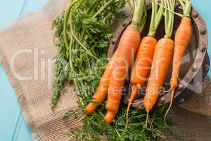 Carrots on a wooden table