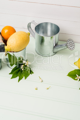 Limes on wooden table