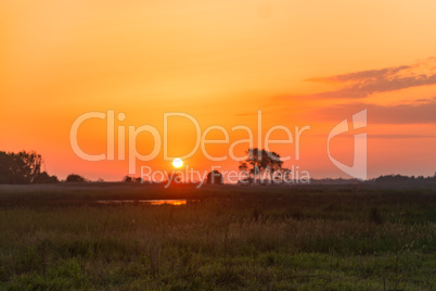 Sunset over the meadow