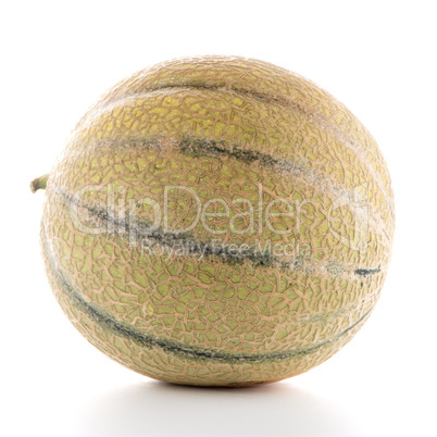 Honeydew melon